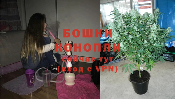 мдпв Нея