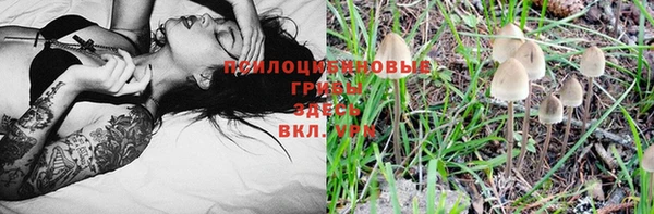 гашик Навашино