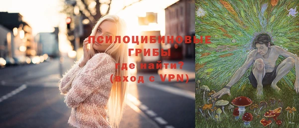 дживик Наволоки